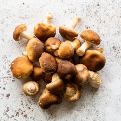 Baby Shiitake Mushrooms