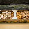 Fresh Wild Variety Mushroom Mix